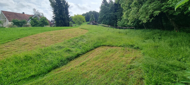 Idyllisches Grundstück in Hohenweiler! Der ideale Platz für dein Traumhaus!