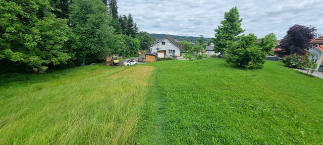 Idyllisches Grundstück in Hohenweiler! Der ideale Platz für dein Traumhaus!