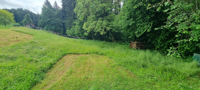 Idyllisches Grundstück in Hohenweiler! Der ideale Platz für dein Traumhaus!