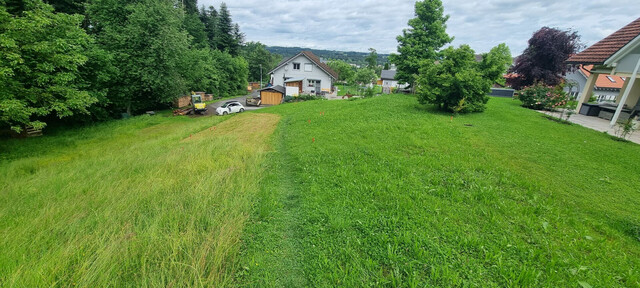 Idyllisches Grundstück in Hohenweiler! Der ideale Platz für dein Traumhaus!