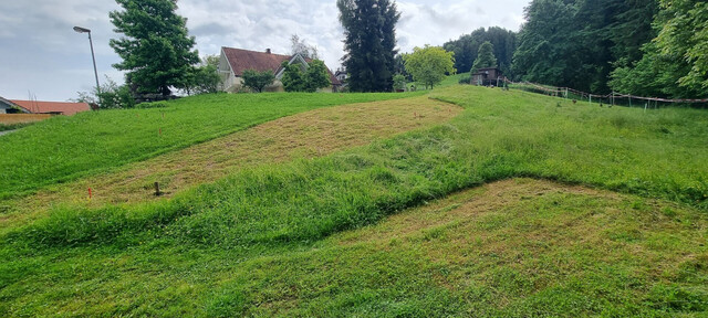 Idyllisches Grundstück in Hohenweiler! Der ideale Platz für dein Traumhaus!