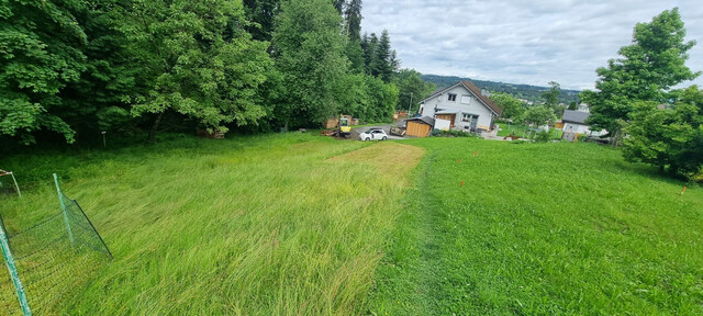 Idyllisches Grundstück in Hohenweiler! Der ideale Platz für dein Traumhaus!