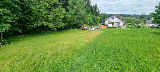 Idyllisches Grundstück in Hohenweiler! Der ideale Platz für dein Traumhaus!