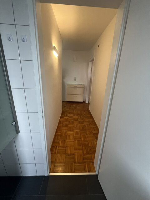 3 Zimmer Wohnungen in Dornbirn-Hatlerdorf