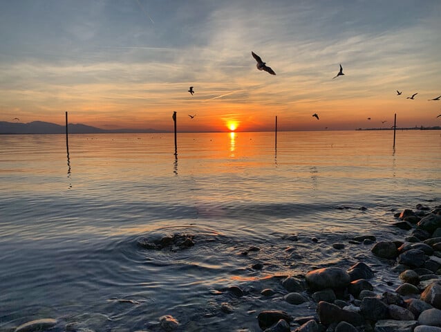 Wohnen am Bodensee: 3Zimmer Gartenwohnung in Toplage nur etwa 150 Meter vom Bodenseeufer – 3 Zi. Garten Wohnung