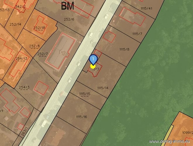 Großzügige Liegenschaft mit zwei Wohneinheiten und 1.513m² Grundstücksfläche in Feldkirch-Tisis