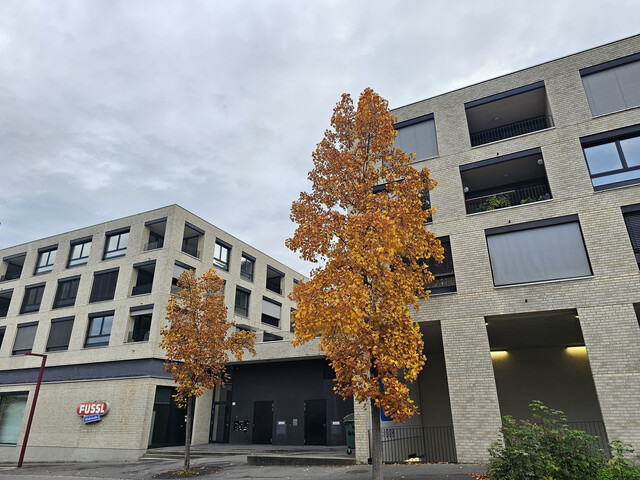 Moderne 4-Zimmer-Wohnung am Garnmarkt in Götzis