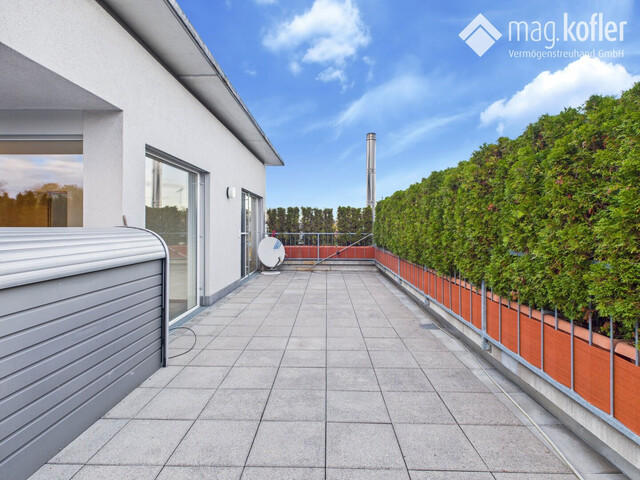 Seltene Gelegenheit: Exklusive Penthouse-Wohnung in Hard – mit 111 m² Terrasse und Rundumblick