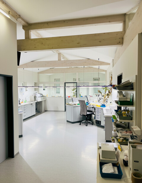 Attraktives Gewerbeobjekt mit Eigennutzung und vermietbaren Flächen – Sichtbarkeit &amp; Eleganz vereint