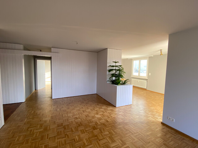 Sonnige Stadtwohnung mit Seesicht und grosser Terrasse, ruhig und zentral