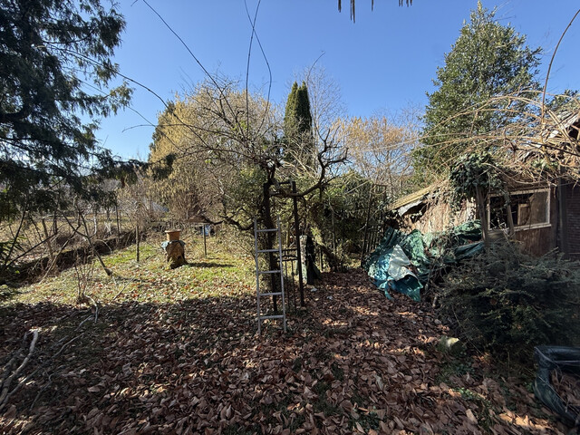 Baugrundstück | Rankweil | In der Schaufel