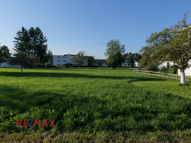 Traumhaftes sonniges Grundstück in Seenähe