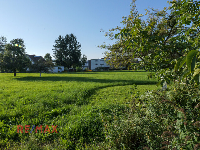 Traumhaftes sonniges Grundstück in Seenähe