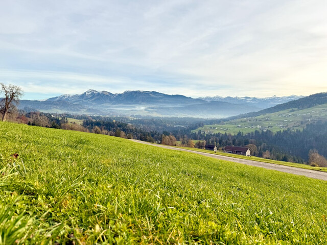 Sonniges Grundstück mit Blick in den Bregenzerwald!