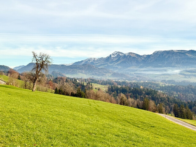 Sonniges Grundstück mit Blick in den Bregenzerwald!