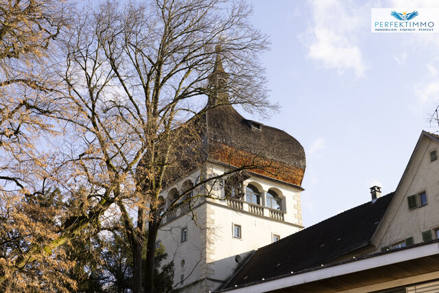 Historischer Blick, modernes Wohnen – Maisonette an der Oberstadt - NEUER PREIS