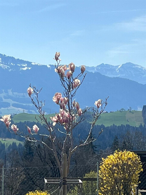 Wohnhaus in traumhafter Aussichtslage in Doren
