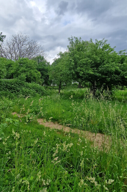 Neues Einfamilienhaus+Carport mit Grundstück 676.000,00 + WBF in Götzis!
