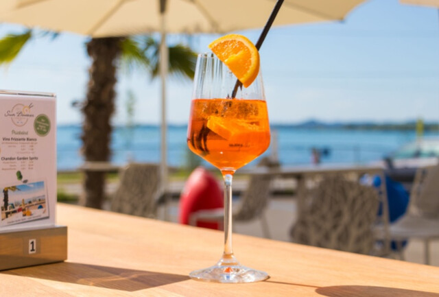 Am See direkt bei Bregenzer Innenstadt - Sehr großzügige 3,5-Zimmer-Wohnung - Besonders auch für Senioren geeignet