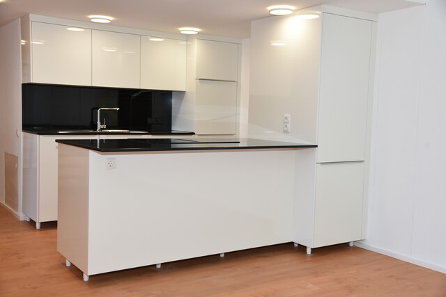 Erstbezug: Tolles Loft mit Blick zur Ill