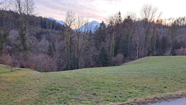 Baugrund in Batschuns - ruhig, sonnig, Freifläche Landwirtschaft angrenzend!!