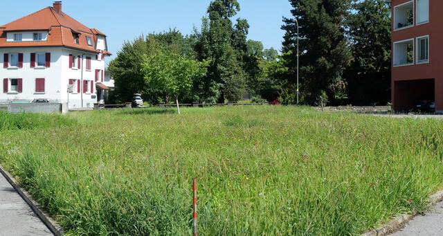 Baugrund in Rankweil: 646 m² mit guter Infrastruktur