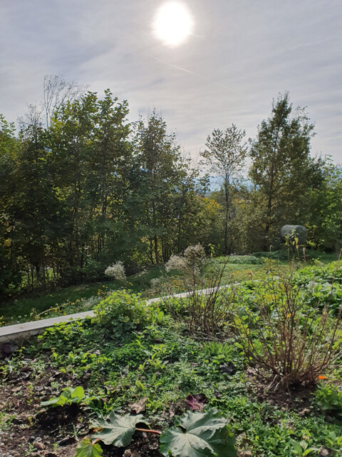 Traumgrundstück in exklusiver Aussichtslage  zu verkaufen
