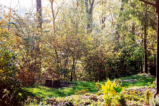 Traumgrundstück in exklusiver Aussichtslage  zu verkaufen