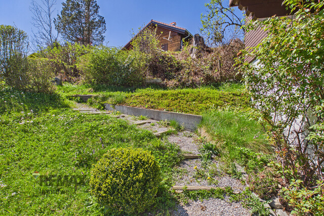 Ferienhaus am Pfänder – Rückzugsort mit Panorama, Ferienwidmung und Vermietungspotenzial