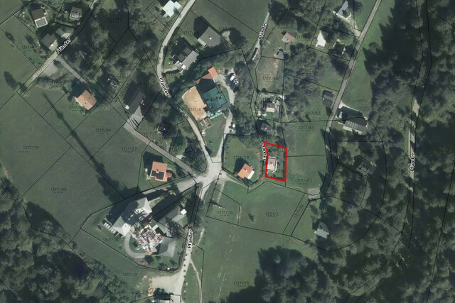 Ferienhaus am Pfänder – Rückzugsort mit Panorama, Ferienwidmung und Vermietungspotenzial
