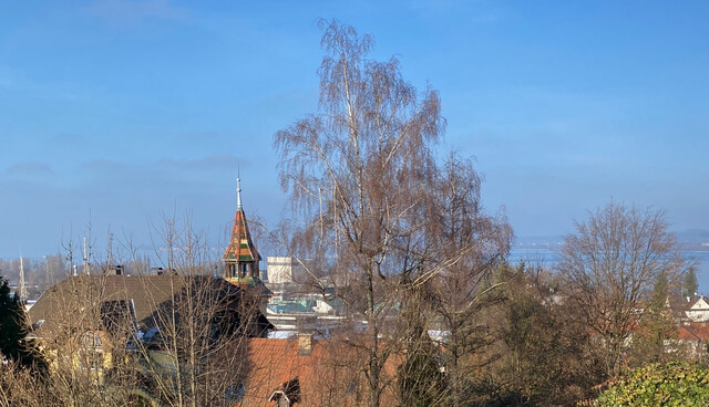 Sonnige Stadtwohnung mit Seesicht und grosser Terrasse, ruhig und zentral