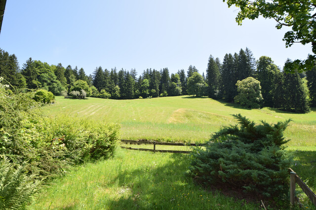 Charmantes Ferienhaus  – Naturidylle in Rickatschwende