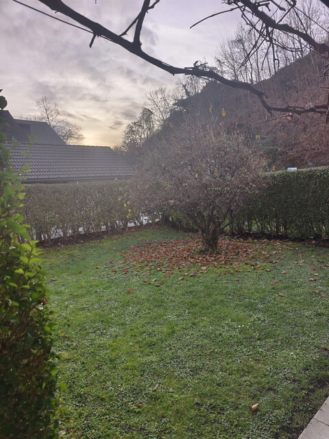 2-Zi Gartenwohnung mit Terrasse & Garage in Tosters