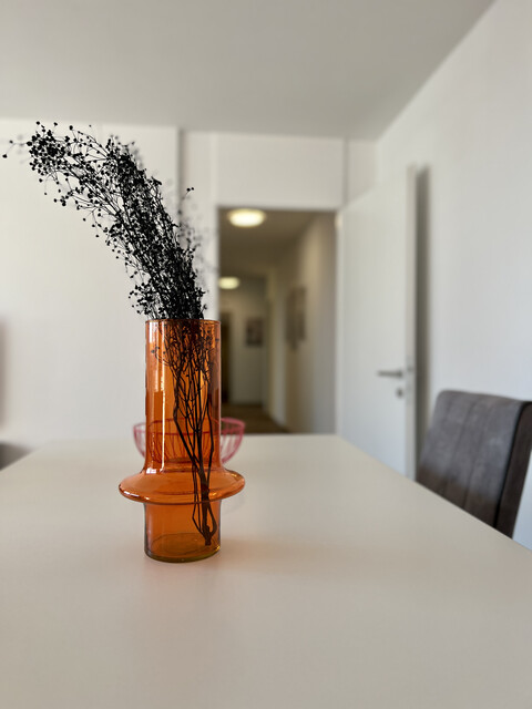 Citywohnung, top saniert & möbliert, bereit für neue Eigentümer!