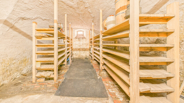 Egg | Traditionshaus im Ortskern mit Entwicklungspotenzial