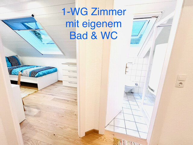 PROVISIONSFREIE, wunderschöne,  neu sanierte 5,5 ZI-Whg mit Balkon, Garten,TG, Nähe LKH Feldkirch, grenznah zu Liechtenstein / Schweiz