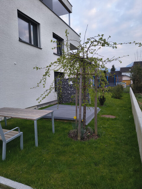 Ruhige, Moderne und sehr helle 3-Zimmer-Gartenwohnung in zentraler Lage