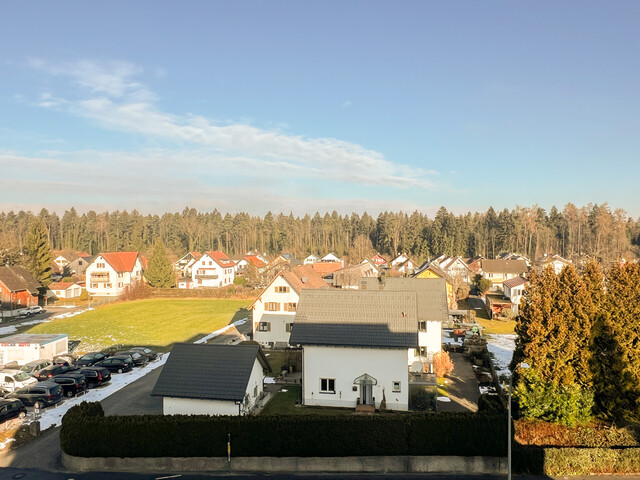 Modernisierte 3 1/2 Zimmerwohnung mit sonnigem Balkon