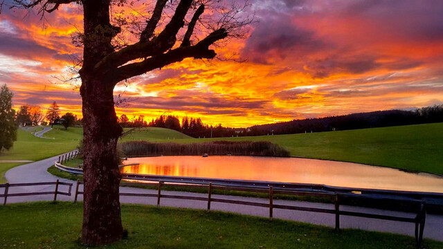 Möggers | Großzügiges Grundstück (1.577 m²)