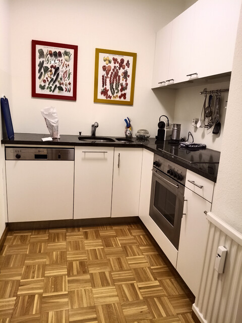 Traumhaft wohnen in Bregenz - Stilvolles Apartment mit Charme 