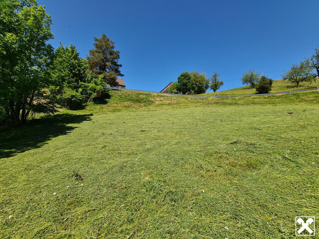 Hanglage mit Weitblick