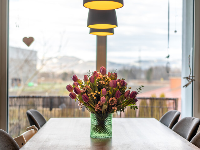 Renovierte 3-Zimmerwohnung in Hohenems