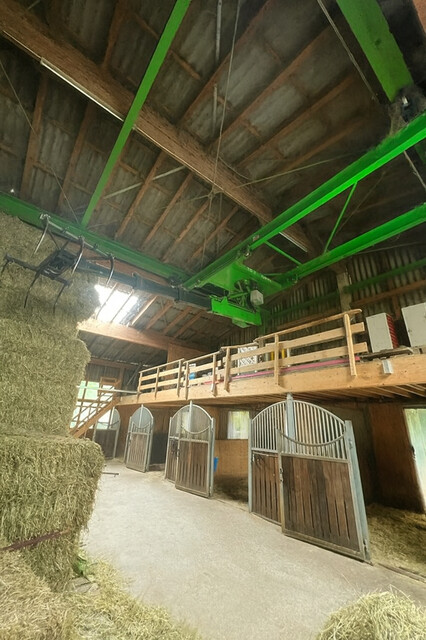 Idyllischer Reitstall am Alten Rhein – ein Platz mit Herz und Geschichte