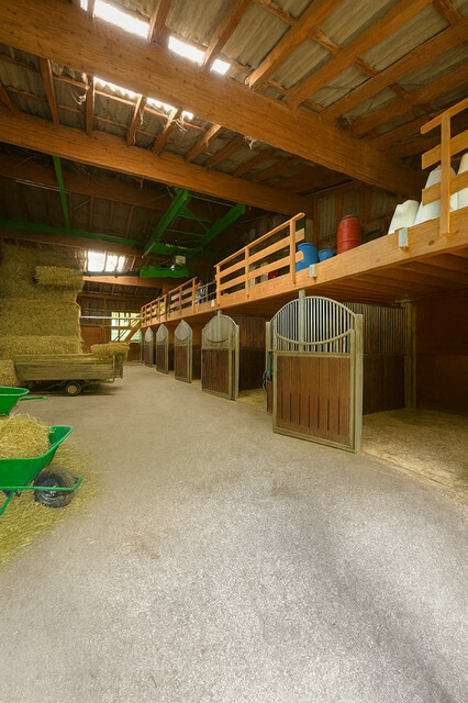 Idyllischer Reitstall am Alten Rhein – ein Platz mit Herz und Geschichte