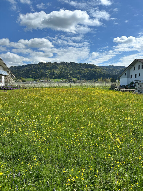 Provisionsfrei-BAUGRUNDSTÜCK IN TOP-LAGE – HÖRBRANZ / STRAUSSENWEG