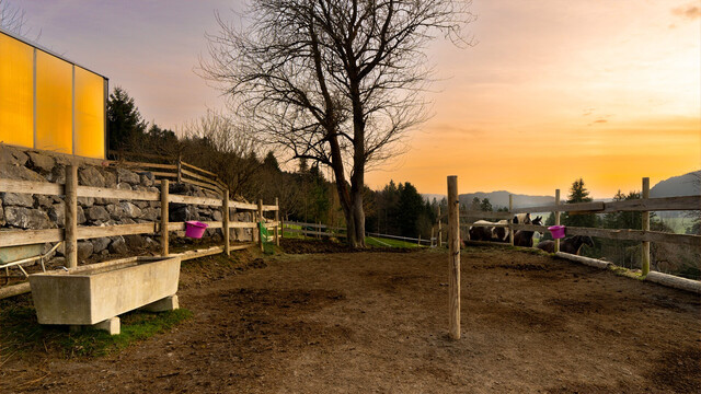 Sulzberg-Thal | Mehrparteienhaus | Großzügiges Anwesen mit 55.512 m²