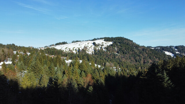 Baugrundstück mit Ferienwidmung in bester Lage in Schwarzenberg Bödele