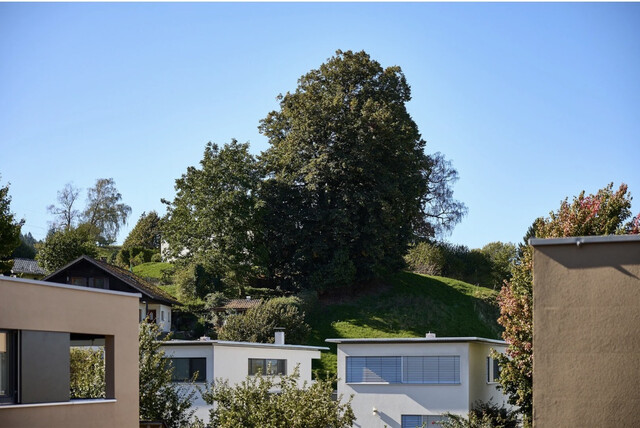 Wunderschöne Gartenwohnung 