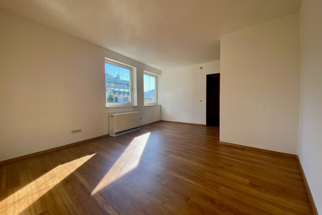 "ohne Provision" helle 1 Zimmer Wohnung in zentraler Lage