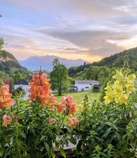 Wohnen mit Weitblick am Götzner Berg (Privatverkauf)